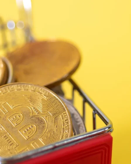 Digital Coin Market in India